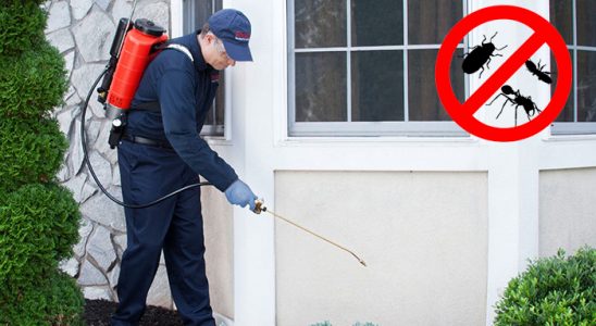 Sultanhisar Böcek İlaçlama böcek ilaçlama ve haşere kontrolü — ilaclama-tr.com